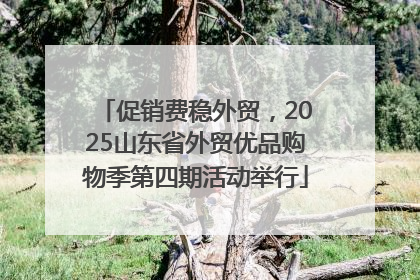 促销费稳外贸，2025山东省外贸优品购物季第四期活动举行