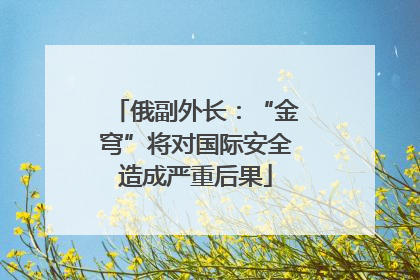 俄副外长：“金穹”将对国际安全造成严重后果