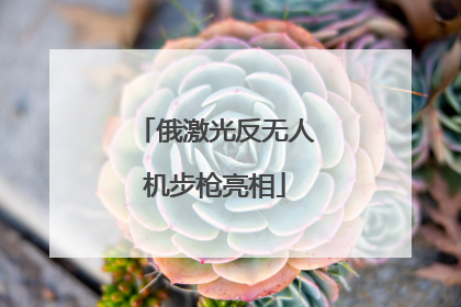 俄激光反无人机步枪亮相