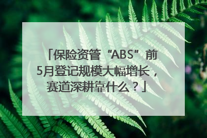 保险资管“ABS”前5月登记规模大幅增长，赛道深耕靠什么？