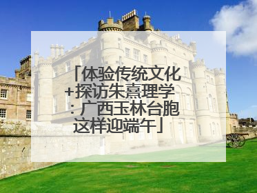 体验传统文化+探访朱熹理学：广西玉林台胞这样迎端午