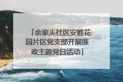 余家头社区安胜花园片区党支部开展廉政主题党日活动