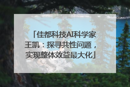 佳都科技AI科学家王凯：探寻共性问题，实现整体效益最大化