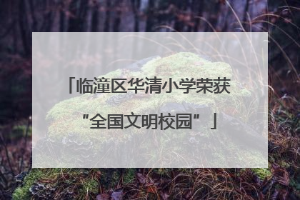 临潼区华清小学荣获“全国文明校园”