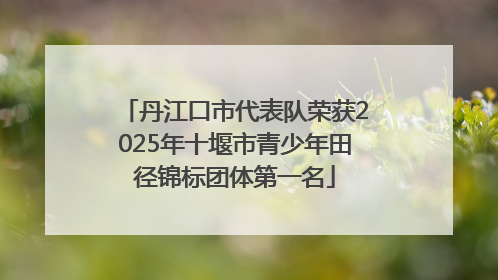 丹江口市代表队荣获2025年十堰市青少年田径锦标团体第一名