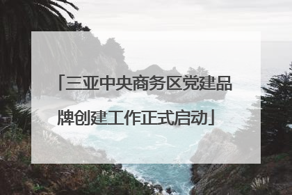 三亚中央商务区党建品牌创建工作正式启动