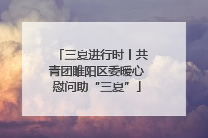 三夏进行时丨共青团睢阳区委暖心慰问助“三夏”