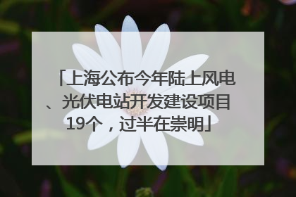 上海公布今年陆上风电、光伏电站开发建设项目19个，过半在崇明