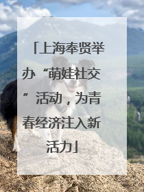 上海奉贤举办“萌娃社交”活动，为青春经济注入新活力
