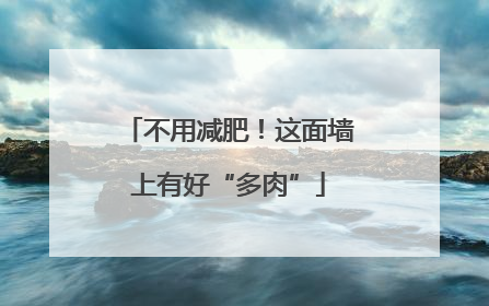 不用减肥！这面墙上有好“多肉”