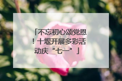 不忘初心颂党恩！十堰开展多彩活动庆“七一”