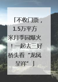 不收门票，1.5万平方米月季园爆火！一起去三好桥头看“龙凤呈祥”