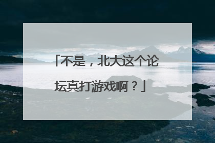 不是，北大这个论坛真打游戏啊？