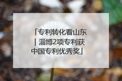 专利转化看山东｜淄博2项专利获中国专利优秀奖