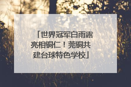 世界冠军白雨露亮相铜仁！莞铜共建台球特色学校