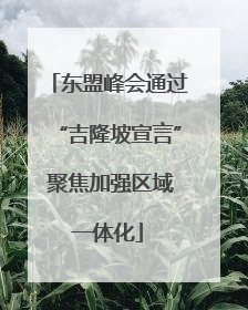 东盟峰会通过“吉隆坡宣言” 聚焦加强区域一体化
