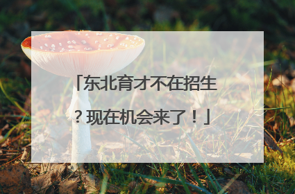 东北育才不在招生？现在机会来了！