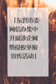 东营市委网信办集中开展涉企网络侵权举报宣传活动