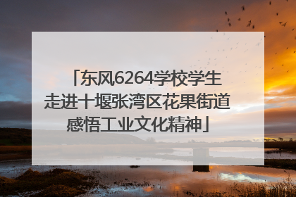 东风6264学校学生走进十堰张湾区花果街道感悟工业文化精神