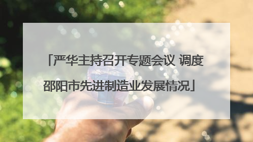 严华主持召开专题会议 调度邵阳市先进制造业发展情况