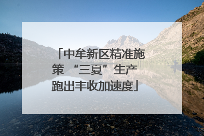 中牟新区精准施策 “三夏”生产跑出丰收加速度