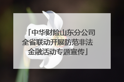 中华财险山东分公司全省联动开展防范非法金融活动专题宣传