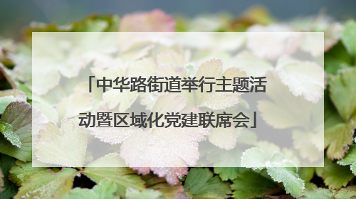 中华路街道举行主题活动暨区域化党建联席会