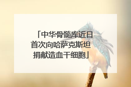 中华骨髓库近日首次向哈萨克斯坦捐献造血干细胞