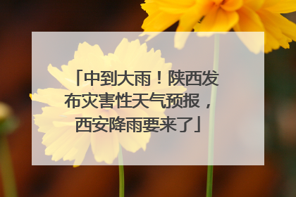 中到大雨！陕西发布灾害性天气预报，西安降雨要来了