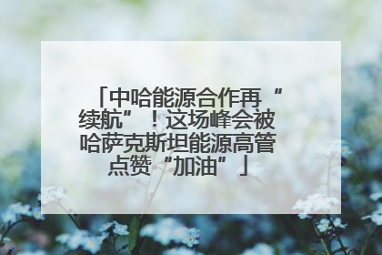 中哈能源合作再“续航”！这场峰会被哈萨克斯坦能源高管点赞“加油”