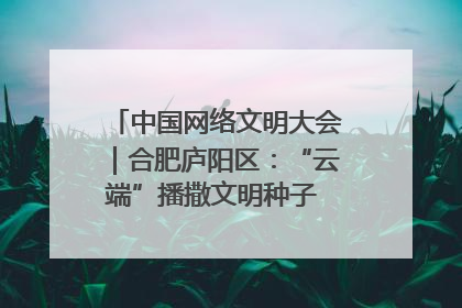 中国网络文明大会｜合肥庐阳区：“云端”播撒文明种子 共建清朗网络空间