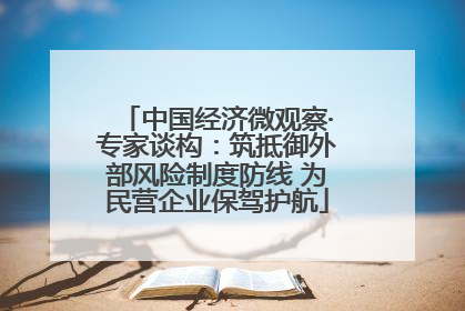 中国经济微观察·专家谈构：筑抵御外部风险制度防线 为民营企业保驾护航