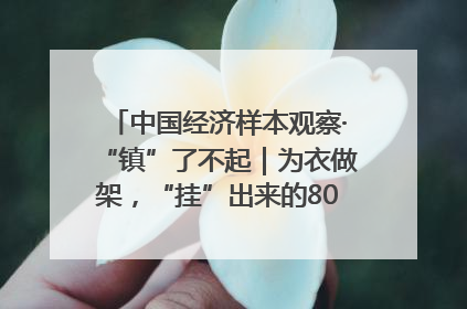 中国经济样本观察·“镇”了不起｜为衣做架，“挂”出来的80亿元“衣架产业”