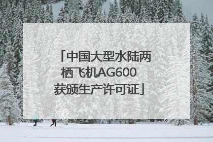中国大型水陆两栖飞机AG600获颁生产许可证