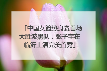 中国女篮热身赛首场大胜波黑队，张子宇在临沂上演完美首秀