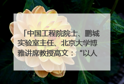中国工程院院士、鹏城实验室主任、北京大学博雅讲席教授高文：“以人为本 智能向善” 推动文化与科技相生相促｜聚焦2025文化强国建设高峰论坛