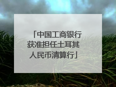 中国工商银行获准担任土耳其人民币清算行