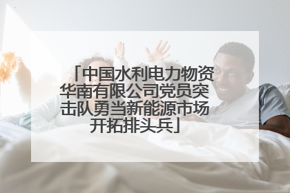 中国水利电力物资华南有限公司党员突击队勇当新能源市场开拓排头兵