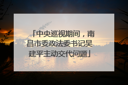 中央巡视期间，南昌市委政法委书记吴建平主动交代问题