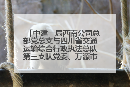 中建一局西南公司总部党总支与四川省交通运输综合行政执法总队第三支队党委、万源市草坝镇莲花院村党支部开展党建联建