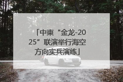 中柬“金龙-2025”联演举行海空方向实兵演练