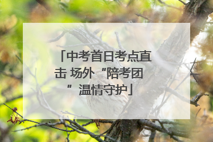 中考首日考点直击 场外“陪考团”温情守护