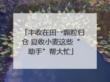 丰收在田→颗粒归仓 夏收小麦这些“助手”帮大忙