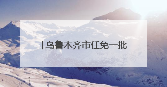 乌鲁木齐市任免一批干部：申琳任副市长