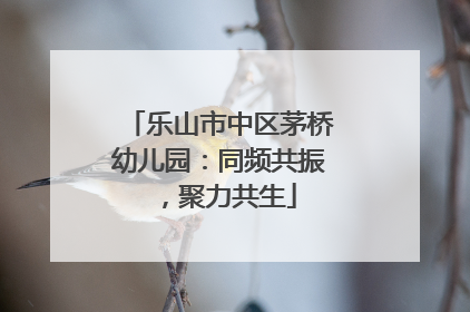 乐山市中区茅桥幼儿园：同频共振，聚力共生