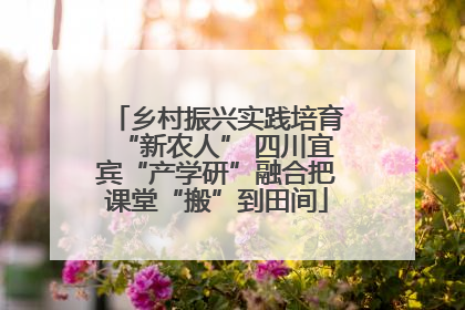 乡村振兴实践培育“新农人” 四川宜宾“产学研”融合把课堂“搬”到田间