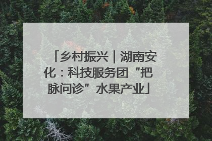 乡村振兴｜湖南安化：科技服务团“把脉问诊”水果产业