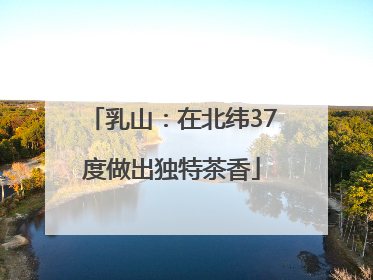 乳山：在北纬37度做出独特茶香