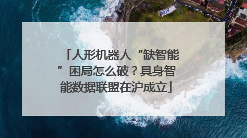 人形机器人“缺智能”困局怎么破？具身智能数据联盟在沪成立