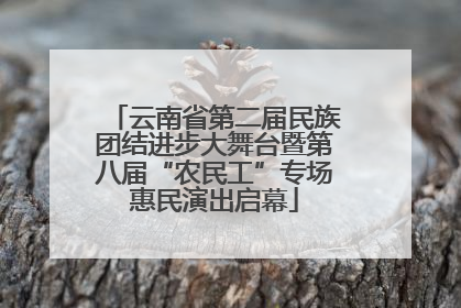 云南省第二届民族团结进步大舞台暨第八届“农民工”专场惠民演出启幕